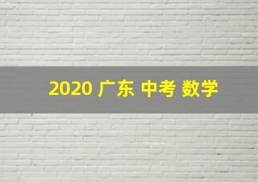 2020 广东 中考 数学